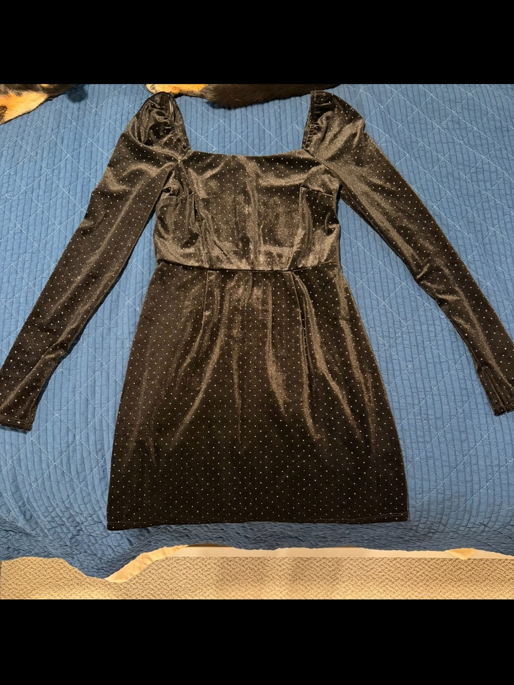 Francesca's Dress